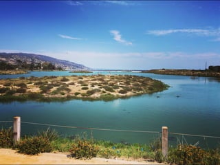 Though The Lens of an iPhone: Pacific Coast Highway