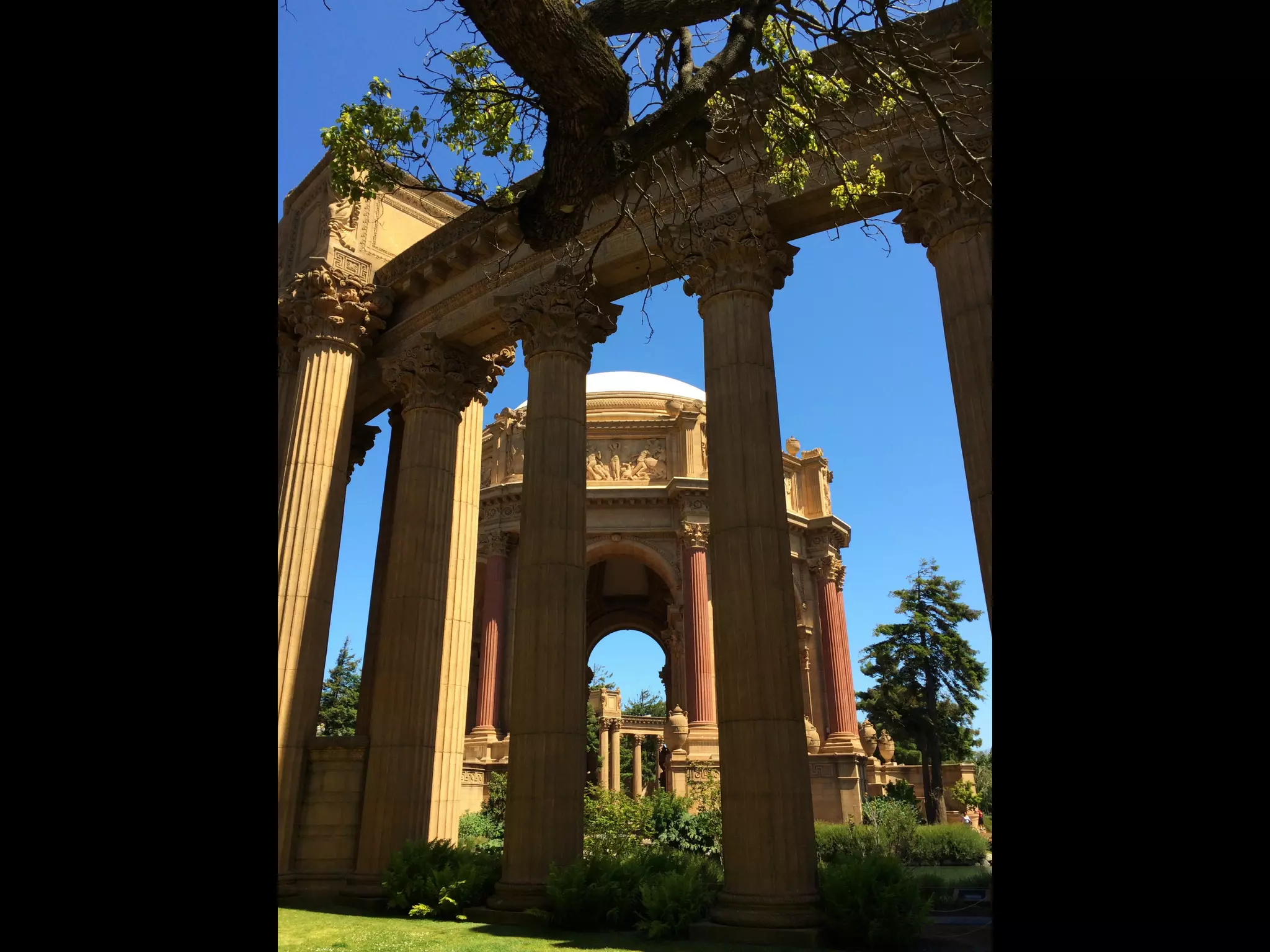 Though The Lens of an iPhone: San Francisco