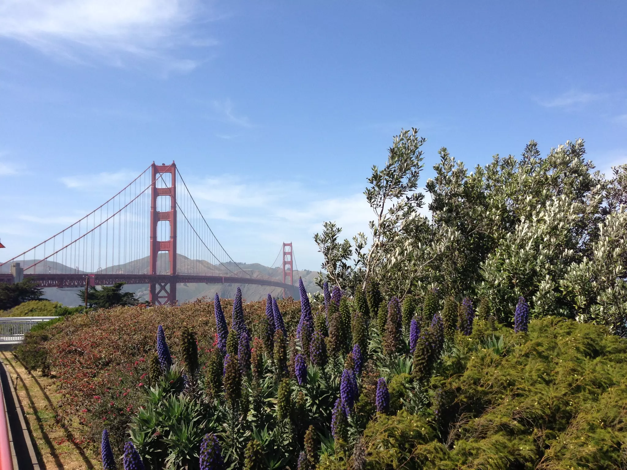 Though The Lens of an iPhone: San Francisco