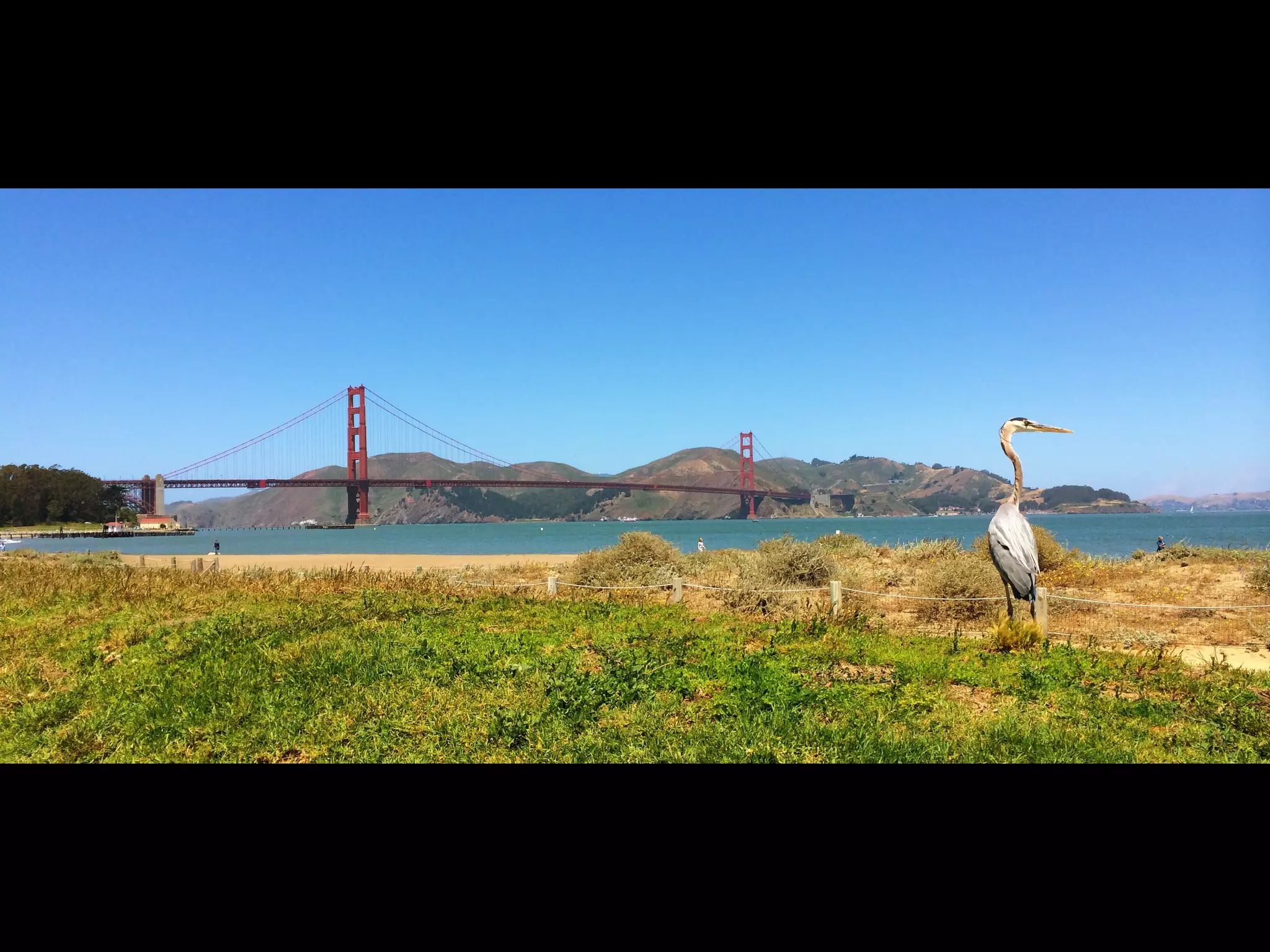 Though The Lens of an iPhone: San Francisco