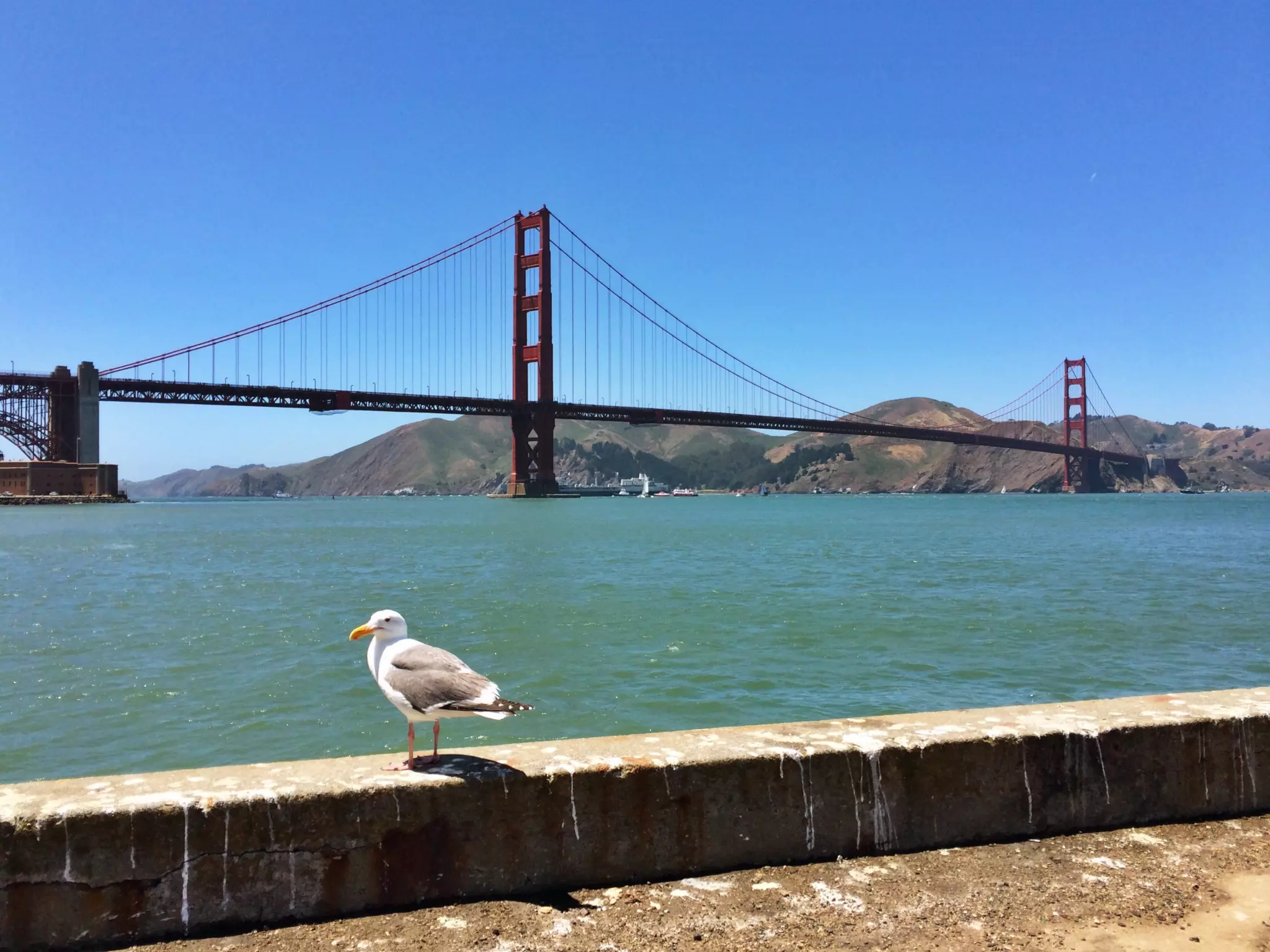 Though The Lens of an iPhone: San Francisco