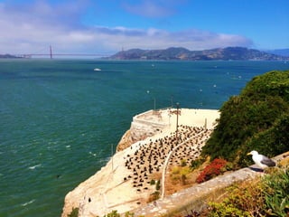 Though The Lens of an iPhone: San Francisco