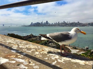 Though The Lens of an iPhone: San Francisco