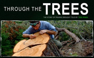 TREES
THR O U G H T H E
                    THE STORY OF PRAIRIE DROUGHT TOLD BY TREE RINGS
 