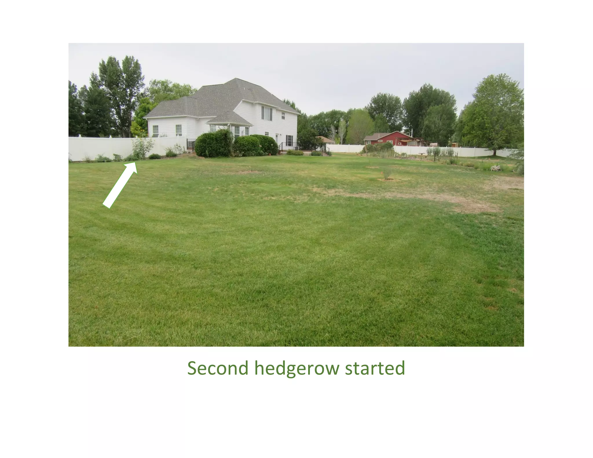 Second hedgerow started
 