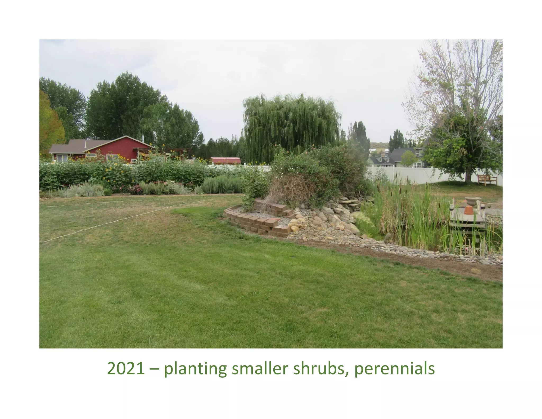 2021 – planting smaller shrubs, perennials
 