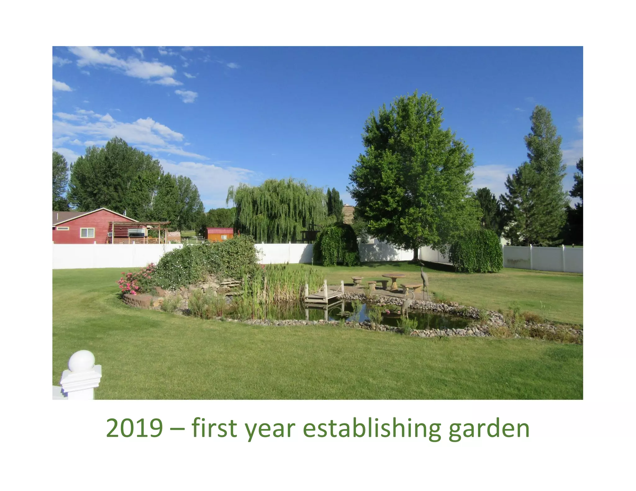2019 – first year establishing garden
 