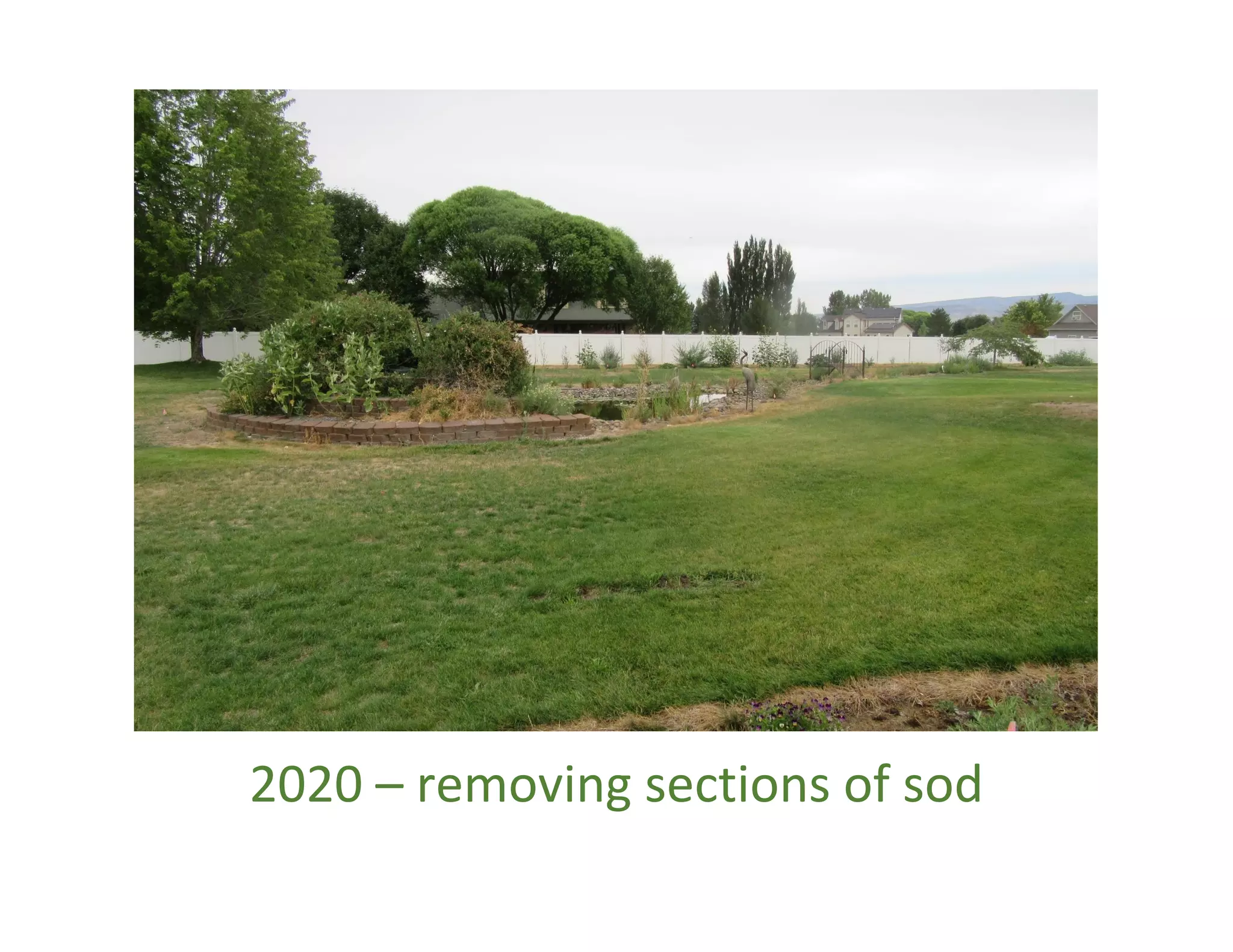 2020 – removing sections of sod
 