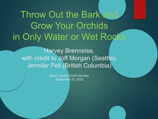Throw Out the Bark and
Grow Your Orchids
in Only Water or Wet Rocks
Harvey Brenneise,
with credit to Joff Morgan (Seattle),
Jennifer Pell (British Columbia)
Marin County Orchid Society
September 22, 2020
 