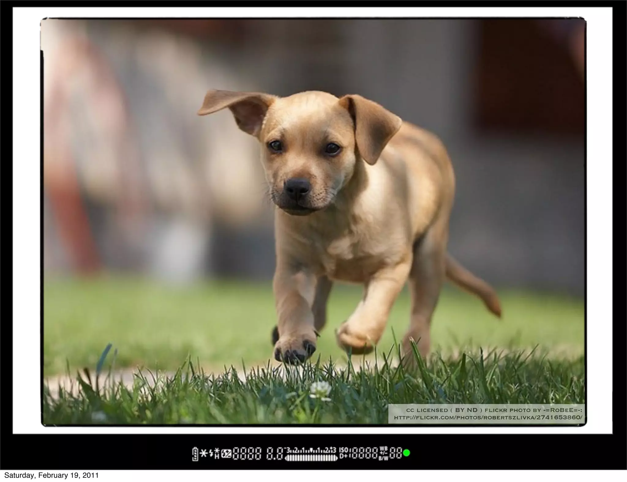 cc licensed ( BY ND ) flickr photo by -=RoBeE=-:
                              http://flickr.com/photos/robertszlivka/2741653860/




Saturday, February 19, 2011
 