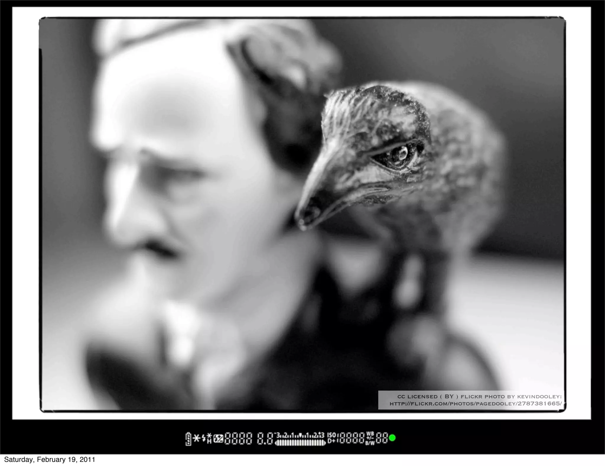 cc licensed ( BY ) flickr photo by kevindooley:
                              http://flickr.com/photos/pagedooley/2787381665/




Saturday, February 19, 2011
 