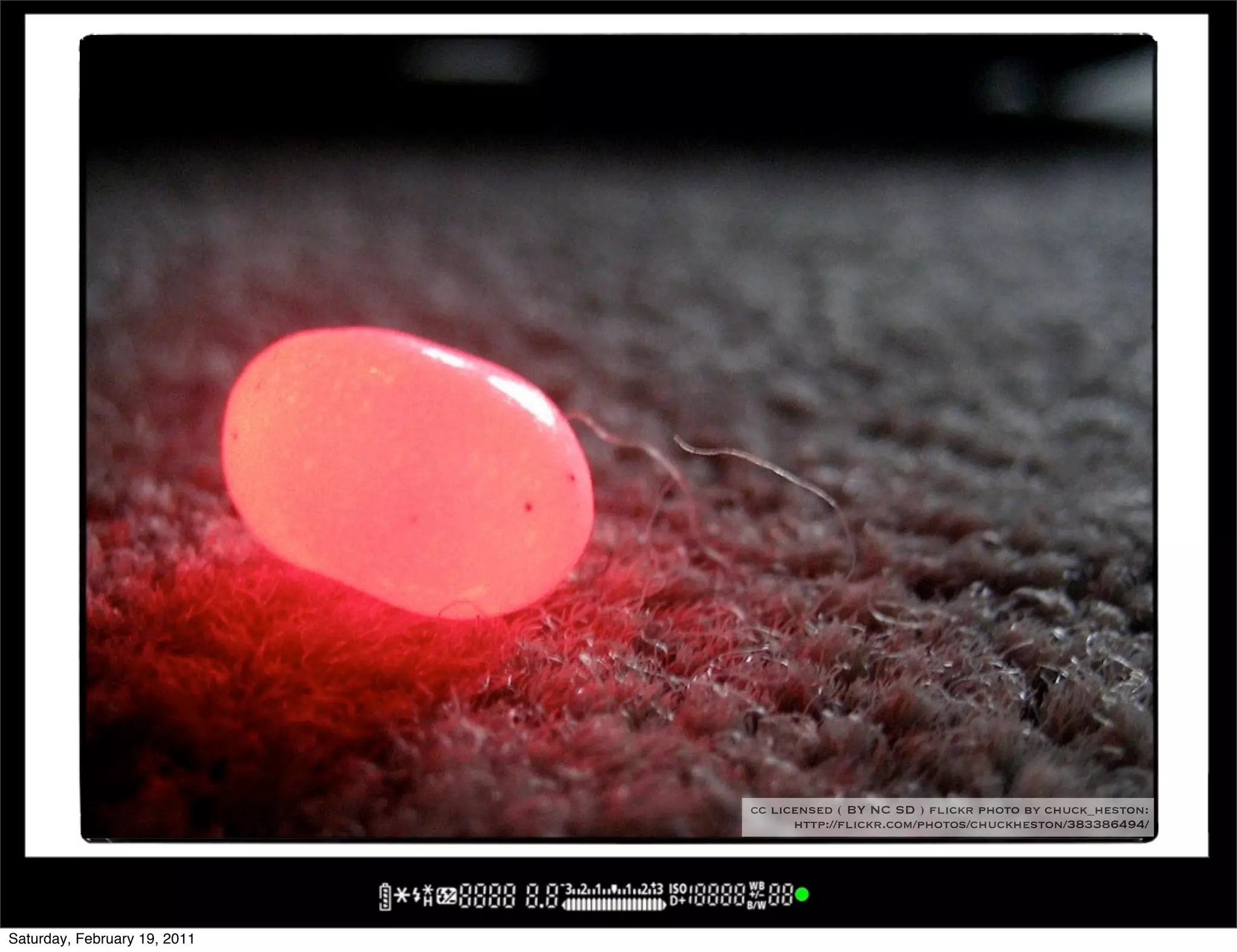 cc licensed ( BY NC SD ) flickr photo by chuck_heston:
                                    http://flickr.com/photos/chuckheston/383386494/




Saturday, February 19, 2011
 