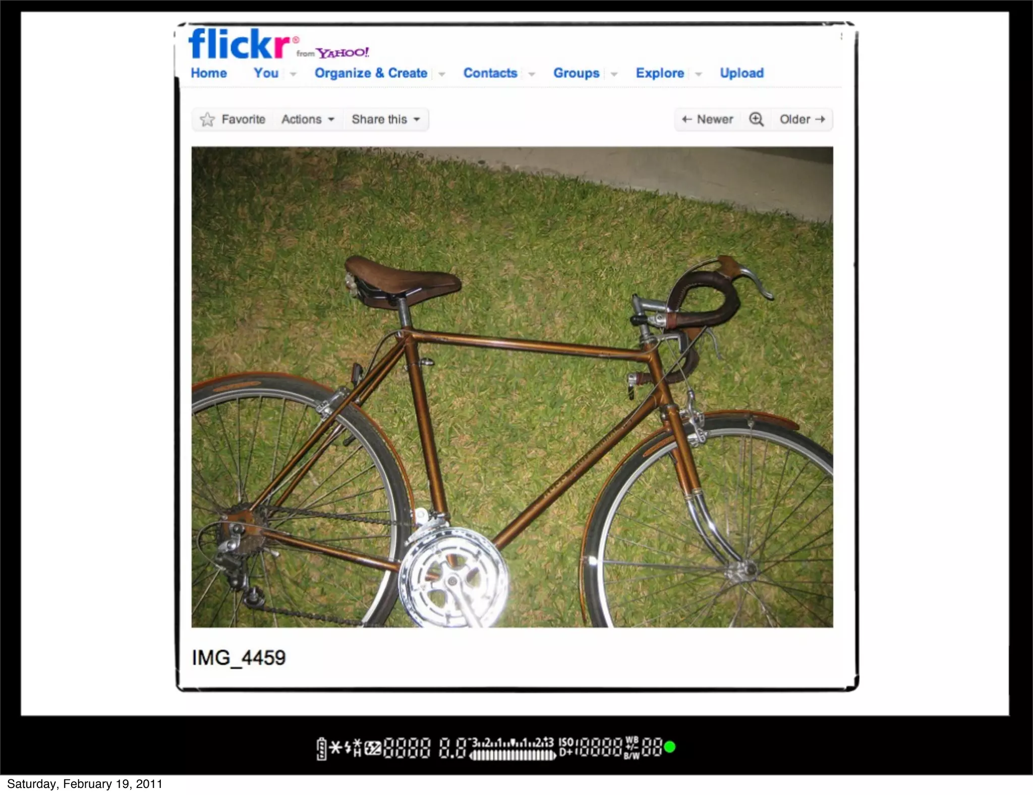 Saturday, February 19, 2011
 