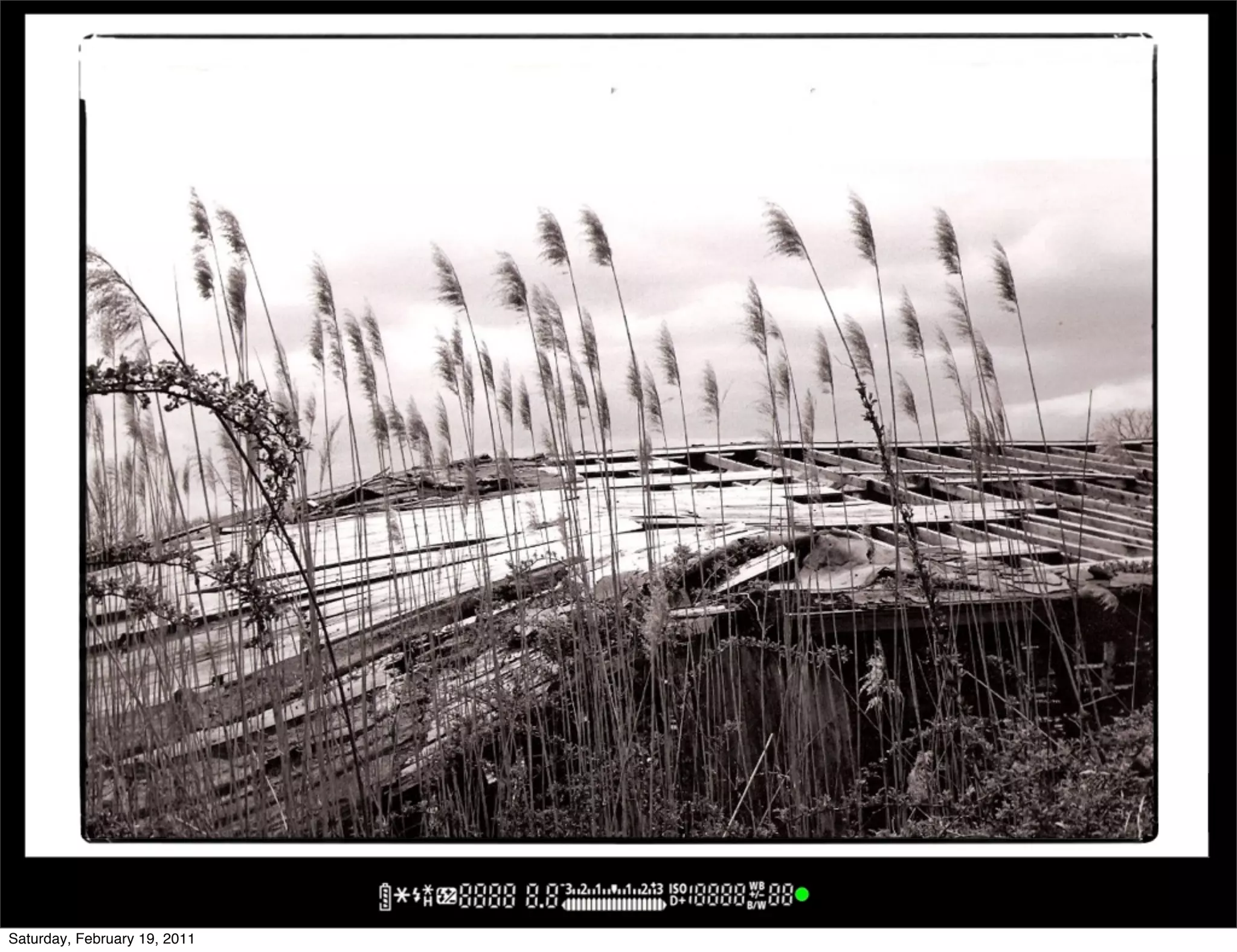 Saturday, February 19, 2011
 