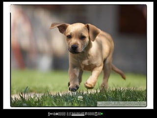 cc licensed ( BY ND ) flickr photo by -=RoBeE=-:
http://flickr.com/photos/robertszlivka/2741653860/
 