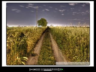 cc licensed ( BY NC ND ) flickr photo by Paolo Margari:
      http://flickr.com/photos/paolomargari/3484863724/
 