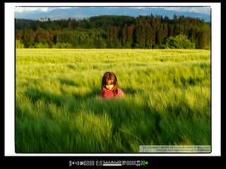 cc licensed ( BY NC SD ) flickr photo by Bill Liao:
          http://flickr.com/photos/liao/154355830/
 