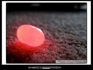 cc licensed ( BY NC SD ) flickr photo by chuck_heston:
      http://flickr.com/photos/chuckheston/383386494/
 