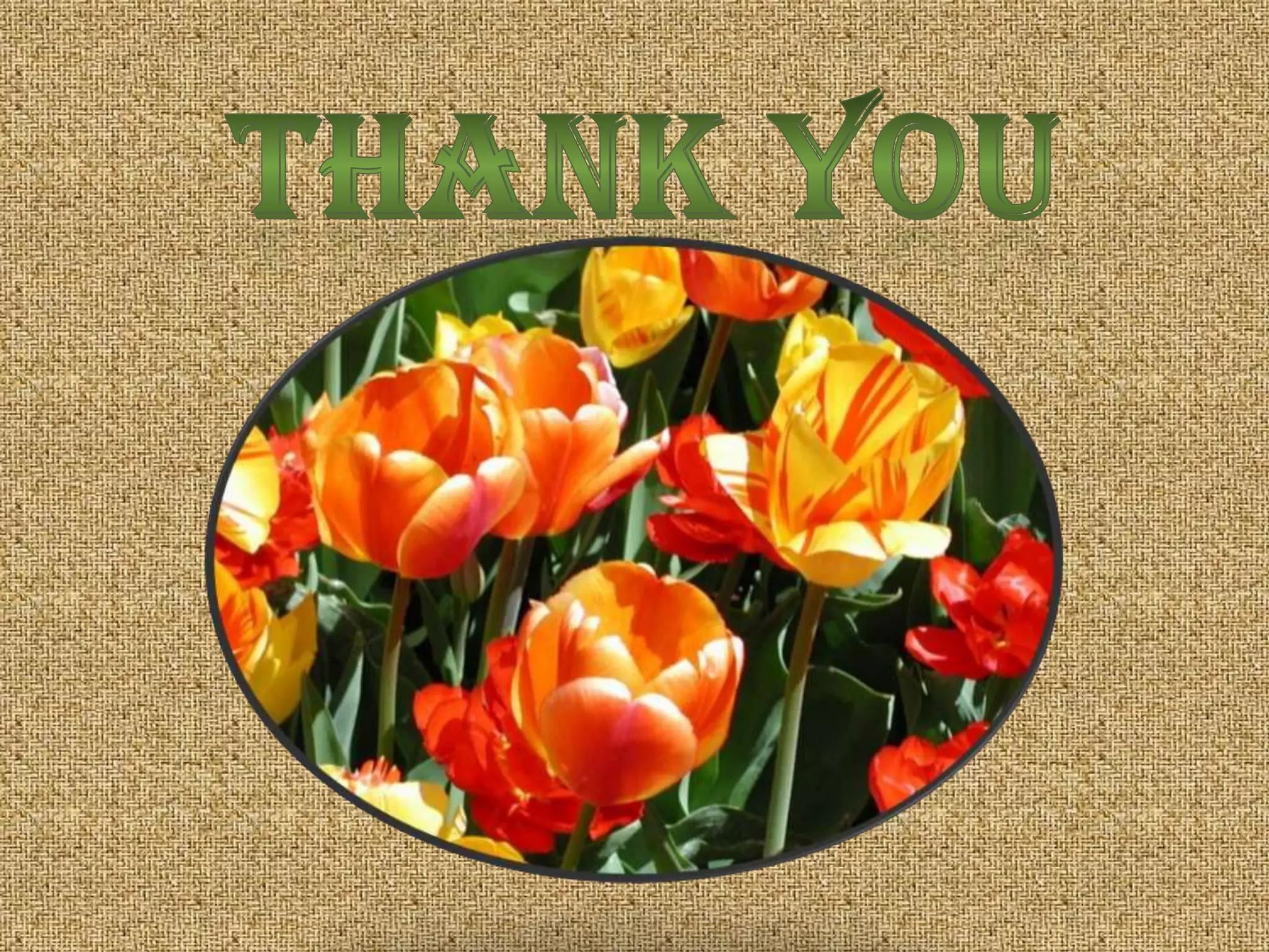 Thrust and pressure complete ppt