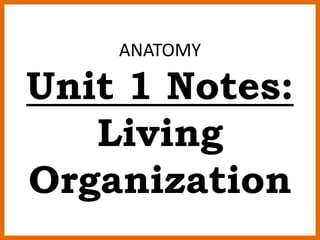 ANATOMY
Unit 1 Notes:
Living
Organization
 