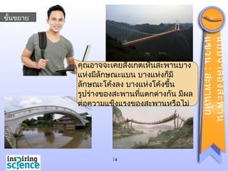14
ขั้นขยาย
ความรู้
คุณอาจจะเคยสังเกตเห็นสะพานบาง
แห่งมีลักษณะแบน บางแห่งก็มี
ลักษณะโค้งลง บางแห่งโค้งขึ้น
รูปร่างของสะพานที่แตกต่างกัน มีผล
ต่อความแข็งแรงของสะพานหรือไม่
แบบจำาลองสะพาน
แขวน:สะพานหัก
 
