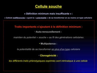 Cellule souche « Définition minimum mais insuffisante » : « Cellule  indifférenciée  » ayant la «  potentialité  » de se transformer en au moins un type cellulaire  Traits importants s’ajoutant à la définition minimum : Auto-renouvellement :   maintien du potentiel « souche » au fil des générations cellulaires Multipotence :  la potentialité de se transformer  en plus d’un type  cellulaire Clonogénicité :  les différents traits phénotypiques exprimés sont intrinsèque à une cellule   