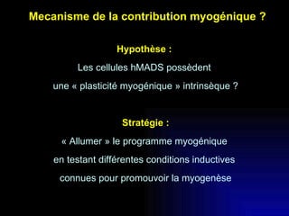 Hypothèse :  Les cellules hMADS possèdent  une « plasticité myogénique » intrinsèque ? Stratégie : « Allumer » le programme myogénique  en testant différentes conditions inductives  connues pour promouvoir la myogenèse Mecanisme de la contribution myogénique ? 