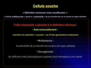 Cellule souche « Définition minimum mais insuffisante » : « Cellule  indifférenciée  » ayant la «  potentialité  » de se transformer en au moins un type cellulaire  Traits importants s’ajoutant à la définition minimum : Auto-renouvellement :   maintien du potentiel « souche » au fil des générations cellulaires Multipotence :  la potentialité de se transformer en plus d’un type cellulaire Clonogénicité :  les différents traits phénotypiques exprimés sont intrinsèque à une cellule   