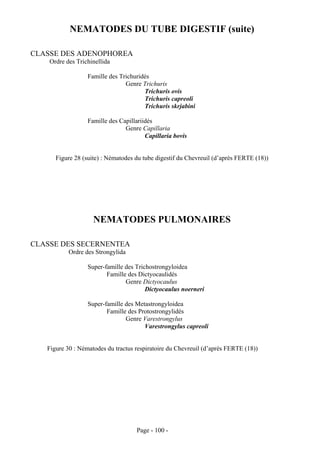NEMATODES DU TUBE DIGESTIF (suite)

CLASSE DES ADENOPHOREA
    Ordre des Trichinellida

                  Famille des Trichuridés
                                Genre Trichuris
                                       Trichuris ovis
                                       Trichuris capreoli
                                       Trichuris skrjabini

                  Famille des Capillariidés
                                Genre Capillaria
                                        Capillaria bovis


      Figure 28 (suite) : Nématodes du tube digestif du Chevreuil (d’après FERTE (18))




                    NEMATODES PULMONAIRES

CLASSE DES SECERNENTEA
           Ordre des Strongylida

                  Super-famille des Trichostrongyloidea
                         Famille des Dictyocaulidés
                                Genre Dictyocaulus
                                        Dictyocaulus noerneri

                  Super-famille des Metastrongyloidea
                         Famille des Protostrongylidés
                                Genre Varestrongylus
                                       Varestrongylus capreoli


   Figure 30 : Nématodes du tractus respiratoire du Chevreuil (d’après FERTE (18))




                                    Page - 100 -
 