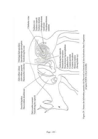 Page - 101 -
               Figure 29 : Nature des helminthes parasites du Chevreuil en fonction de leur localisation dans l’organisme
                                                   (d’après FERTE (18) et SAGIR)
 