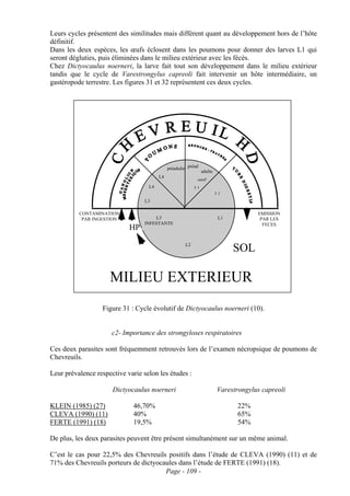 Leurs cycles présentent des similitudes mais diffèrent quant au développement hors de l’hôte
définitif.
Dans les deux espèces, les œufs éclosent dans les poumons pour donner des larves L1 qui
seront dégluties, puis éliminées dans le milieu extérieur avec les fécès.
Chez Dictyocaulus noerneri, la larve fait tout son développement dans le milieu extérieur
tandis que le cycle de Varestrongylus capreoli fait intervenir un hôte intermédiaire, un
gastéropode terrestre. Les figures 31 et 32 représentent ces deux cycles.




                                             préadulte préad
                                                               adulte
                                        L4
                                                           oeuf
                                   L4                     L1
                                                                        L1
                                  L3

          CONTAMINATION                                                              EMISSION
           PAR INGESTION              L3                                 L1           PAR LES
                                  INFESTANTE                                           FECES
                     Figure HP: Cycle évolutif de Dictyocaulus noerneri
                            31

                                                     L2
                                                                              SOL

                     MILIEU EXTERIEUR
                  Figure 31 : Cycle évolutif de Dictyocaulus noerneri (10).


                      c2- Importance des strongyloses respiratoires

Ces deux parasites sont fréquemment retrouvés lors de l’examen nécropsique de poumons de
Chevreuils.

Leur prévalence respective varie selon les études :

                      Dictyocaulus noerneri                             Varestrongylus capreoli

KLEIN (1985) (27)            46,70%                                           22%
CLEVA (1990) (11)            40%                                              65%
FERTE (1991) (18)            19,5%                                            54%

De plus, les deux parasites peuvent être présent simultanément sur un même animal.

C’est le cas pour 22,5% des Chevreuils positifs dans l’étude de CLEVA (1990) (11) et de
71% des Chevreuils porteurs de dictyocaules dans l’étude de FERTE (1991) (18).
                                       Page - 109 -
 