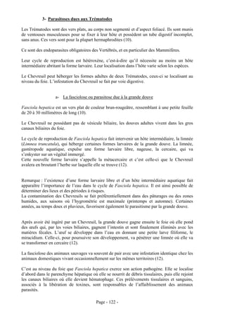 3- Parasitoses dues aux Trématodes

Les Trématodes sont des vers plats, au corps non segmenté et d’aspect foliacé. Ils sont munis
de ventouses musculeuses pour se fixer à leur hôte et possèdent un tube digestif incomplet,
sans anus. Ces vers sont pour la plupart hermaphrodites (10).

Ce sont des endoparasites obligatoires des Vertébrés, et en particulier des Mammifères.

Leur cycle de reproduction est hétéroxène, c’est-à-dire qu’il nécessite au moins un hôte
intermédiaire abritant la forme larvaire. Leur localisation dans l’hôte varie selon les espèces.

Le Chevreuil peut héberger les formes adultes de deux Trématodes, ceux-ci se localisant au
niveau du foie. L’infestation du Chevreuil se fait par voie digestive.


                   a- La fasciolose ou parasitose due à la grande douve

Fasciola hepatica est un vers plat de couleur brun-rougeâtre, ressemblant à une petite feuille
de 20 à 30 millimètres de long (10).

Le Chevreuil ne possédant pas de vésicule biliaire, les douves adultes vivent dans les gros
canaux biliaires du foie.

Le cycle de reproduction de Fasciola hepatica fait intervenir un hôte intermédiaire, la limnée
(Limnea truncatula), qui héberge certaines formes larvaires de la grande douve. La limnée,
gastéropode aquatique, expulse une forme larvaire libre, nageuse, la cercaire, qui va
s’enkyster sur un végétal immergé.
Cette nouvelle forme larvaire s’appelle la métacercaire et c’est celle-ci que le Chevreuil
avalera en broutant l’herbe sur laquelle elle se trouve (12).


Remarque : l’existence d’une forme larvaire libre et d’un hôte intermédiaire aquatique fait
apparaître l’importance de l’eau dans le cycle de Fasciola hepatica. Il est ainsi possible de
déterminer des lieux et des périodes à risques.
La contamination des Chevreuils se fait préférentiellement dans des pâturages ou des zones
humides, aux saisons où l’hygrométrie est maximale (printemps et automne). Certaines
années, au temps doux et pluvieux, favorisent également le parasitisme par la grande douve.


Après avoir été ingéré par un Chevreuil, la grande douve gagne ensuite le foie où elle pond
des œufs qui, par les voies biliaires, gagnent l’intestin et sont finalement éliminés avec les
matières fécales. L’œuf se développe dans l’eau en donnant une petite larve filiforme, le
miracidium. Celle-ci, pour poursuivre son développement, va pénétrer une limnée où elle va
se transformer en cercaire (12).

La fasciolose des animaux sauvages va souvent de pair avec une infestation identique chez les
animaux domestiques vivant occasionnellement sur les mêmes territoires (12).

C’est au niveau du foie que Fasciola hepatica exerce son action pathogène. Elle se localise
d’abord dans le parenchyme hépatique où elle se nourrit de débris tissulaires, puis elle rejoint
les canaux biliaires où elle devient hématophage. Ces prélèvements tissulaires et sanguins,
associés à la libération de toxines, sont responsables de l’affaiblissement des animaux
parasités.

                                         Page - 122 -
 
