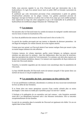 Enfin, nous pouvons signaler le cas d’un Chevreuil mort par intoxication due à des
hydrocarbures. Il s’agit d’un animal trouvé mort en juillet 2003 en Gironde à proximité du
bord de mer.
Il semblerait que cette intoxication provienne d’une contamination à partir de galettes
d’hydrocarbure présentes sur les plages voisines. Ces galettes pourraient provenir de
dégazages sauvages de bateaux en pleine mer ou bien d’un cargo qui avait sombré quelques
mois auparavant au large des côtes espagnoles et qui a été responsable de la pollution aux
hydrocarbures de nombreuses plages françaises de l’Atlantique sud.


           G- Les tumeurs
On rencontre chez le Chevreuil toutes les variétés de tumeurs de malignité variable intéressant
tous les tissus et toutes les localisations (56).

Les lieux de prédilection des tumeurs du Chevreuil sont le foie et la tête (11).

La gravité des troubles provoquée par une tumeur va dépendre de plusieurs paramètres : de
son degré de malignité, du volume tumoral, du ou des organes atteints.

Comme pour tout animal, un Chevreuil atteint d’une tumeur maligne finira par mourir à plus
ou moins longue échéance de cette affection.

Certaines tumeurs, de volume important, quelles soient bénignes ou malignes, peuvent
entraîner une gêne pour les animaux : dans leur déplacement, dans leur prise de nourriture,
dans leur perception des stimuli de l’environnement. Ces animaux sont alors plus exposés aux
dangers environnants (prédation, chasse). Ces tumeurs sont responsables de façon indirecte de
la mort des Chevreuils atteints.

Toutefois, la mortalité engendrée par des tumeurs reste anecdotique dans les populations de
Chevreuils.

La base SAGIR dénombre 20 Chevreuils morts de tumeurs auxquels il faut ajouter deux cas
mortels de leucose et cinq de lymphosarcomes.


           H- Les anomalies des bois : perruques ou têtes mitrées (56)
C’est une prolifération exubérante, désordonnée et continue du tissu recouvrant normalement
les bois au début de leur formation.

Il se forme alors une masse spongieuse couverte d’une couche veloutée plus ou moins
développée. Cette masse ne tombe pas et prolifère jusqu’à la mort de l ‘animal.

L’étiologie et la pathogénie de ces anomalies sont mal connues : cette formation anormale
serait due à un dérèglement hormonal suite à des blessures testiculaires. Elle se rencontre
exceptionnellement sur des femelles.

La part de ces anomalies dans la mortalité du Chevreuil est également très faible. Un cas est
signalé dans la base SAGIR.




                                           Page 157
 