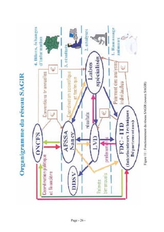 Page - 26 -
              Figure 11 : Fonctionnement du réseau SAGIR (source SAGIR)
 