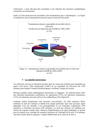 l’adversaire…) mais elle peut être secondaire à une infection des structures encéphaliques
consécutive au traumatisme.

Enfin, les Chevreuils peuvent succomber à des traumatismes plus « anecdotiques ». La figure
14 reprend ces divers traumatismes pouvant causer la mort de Chevreuils.


                   Traumatismes mineurs responsables de mortalité chez le
                                        Chevreuil.
                   Nombre de cas répertoriés par SAGIR de 1986 à 2003
                                          (n=35)


                                                   machinisme
                               strangulation        agricole
                                     4                 4
                éventration
                     2
                                                                        piège
           braconnage                                                     7
                3



                                                                chute
                                noyade                            4
                                  11



       Figure 14 : Traumatismes mineurs responsables de mortalité chez le Chevreuil
                            (données SAGIR de 1986 à 2003)
                                         (n=35)


           3- Les maladies bactériennes

Ces affections arrivent en deuxième position dans les causes de mortalité pour lesquelles un
agent a été trouvé. Elles représentent 16,46% de ces mortalités du Chevreuil soit 1350
animaux pour lesquels l’analyse bactériologique a confirmé l’origine de la mort.

Plusieurs grandes entités pathologiques bactériennes se dégagent : les entérotoxémies (28%
des affections bactériennes confirmées), les septicémies (27%), les infections respiratoires
(13%), les infections nerveuses (6%) et les colibacilloses (5%) (figure15).

Certaines entités bactériennes sont peut-être sous-estimées. En effet, plusieurs fiches
attribuent la mort de l’animal à l’atteint d’un organe particulier mais sans qu’aucun agent
pathogène n’ait été identifié. C’est principalement le cas d’atteintes respiratoires (190
animaux) et d’atteintes nerveuses (109 animaux). La mort des animaux est attribuée aux
lésions des organes touchés mais l’absence d’identification d’un agent pathogène ne permet
pas de conclure avec certitude du caractère infectieux de l’étiologie de la mort. Ces animaux
sont alors classés dans la catégorie « origine indéterminée de la cause de la mort ».




                                          Page - 29 -
 