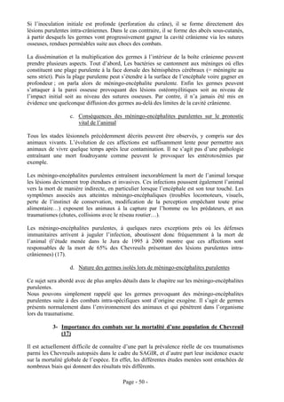 Si l’inoculation initiale est profonde (perforation du crâne), il se forme directement des
lésions purulentes intra-crâniennes. Dans le cas contraire, il se forme des abcès sous-cutanés,
à partir desquels les germes vont progressivement gagner la cavité crânienne via les sutures
osseuses, rendues perméables suite aux chocs des combats.

La dissémination et la multiplication des germes à l’intérieur de la boîte crânienne peuvent
prendre plusieurs aspects. Tout d’abord, Les bactéries se cantonnent aux méninges où elles
constituent une plage purulente à la face dorsale des hémisphères cérébraux (= méningite au
sens strict). Puis la plage purulente peut s’étendre à la surface de l’encéphale voire gagner en
profondeur ; on parla alors de méningo-encéphalite purulente. Enfin les germes peuvent
s’attaquer à la paroi osseuse provoquant des lésions ostéomyélitiques soit au niveau de
l’impact initial soit au niveau des sutures osseuses. Par contre, il n’a jamais été mis en
évidence une quelconque diffusion des germes au-delà des limites de la cavité crânienne.

                   c. Conséquences des méningo-encéphalites purulentes sur le pronostic
                      vital de l’animal

Tous les stades lésionnels précédemment décrits peuvent être observés, y compris sur des
animaux vivants. L’évolution de ces affections est suffisamment lente pour permettre aux
animaux de vivre quelque temps après leur contamination. Il ne s’agit pas d’une pathologie
entraînant une mort foudroyante comme peuvent le provoquer les entérotoxémies par
exemple.

Les méningo-encéphalites purulentes entraînent inexorablement la mort de l’animal lorsque
les lésions deviennent trop étendues et invasives. Ces infections poussent également l’animal
vers la mort de manière indirecte, en particulier lorsque l’encéphale est son tour touché. Les
symptômes associés aux atteintes méningo-encéphaliques (troubles locomoteurs, visuels,
perte de l’instinct de conservation, modification de la perception empêchant toute prise
alimentaire…) exposent les animaux à la capture par l’homme ou les prédateurs, et aux
traumatismes (chutes, collisions avec le réseau routier…).

Les méningo-encéphalites purulentes, à quelques rares exceptions près où les défenses
immunitaires arrivent à juguler l’infection, aboutissent donc fréquemment à la mort de
l’animal (l’étude menée dans le Jura de 1995 à 2000 montre que ces affections sont
responsables de la mort de 65% des Chevreuils présentant des lésions purulentes intra-
crâniennes) (17).

                   d. Nature des germes isolés lors de méningo-encéphalites purulentes

Ce sujet sera abordé avec de plus amples détails dans le chapitre sur les méningo-encéphalites
purulentes.
Nous pouvons simplement rappelé que les germes provoquant des méningo-encéphalites
purulentes suite à des combats intra-spécifiques sont d’origine exogène. Il s’agit de germes
présents normalement dans l’environnement des animaux et qui pénètrent dans l’organisme
lors du traumatisme.

           3- Importance des combats sur la mortalité d’une population de Chevreuil
              (17)

Il est actuellement difficile de connaître d’une part la prévalence réelle de ces traumatismes
parmi les Chevreuils autopsiés dans le cadre du SAGIR, et d’autre part leur incidence exacte
sur la mortalité globale de l’espèce. En effet, les différentes études menées sont entachées de
nombreux biais qui donnent des résultats très différents.

                                          Page - 50 -
 