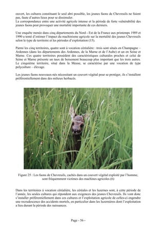 ouvert, les cultures constituant le seul abri possible, les jeunes faons de Chevreuils ne fuient
pas, faute d’autres lieux pour se dissimuler.
La correspondance entre une activité agricole intense et la période de forte vulnérabilité des
jeunes faons peut provoquer une mortalité importante de ces derniers.

Une enquête menée dans cinq départements du Nord - Est de la France aux printemps 1989 et
1990 a tenté d’estimer l’impact du machinisme agricole sur la mortalité des jeunes Chevreuils
selon le type de territoire et les périodes d’exploitation (15).

Parmi les cinq territoires, quatre sont à vocation céréalière : trois sont situés en Champagne –
Ardennes (dans les départements des Ardennes, de la Marne et de l’Aube) et un en Seine et
Marne. Ces quatre territoires possèdent des caractéristiques culturales proches et celui de
Seine et Marne présente un taux de boisement beaucoup plus important que les trois autres.
Le cinquième territoire, situé dans la Meuse, se caractérise par une vocation de type
polyculture – élevage.

Les jeunes faons nouveaux-nés nécessitant un couvert végétal pour se protéger, ils s’installent
préférentiellement dans des milieux herbacés.




 Figure 25 : Les faons de Chevreuils, cachés dans un couvert végétal exploité par l’homme,
                   sont fréquemment victimes des machines agricoles (6)


Dans les territoires à vocation céréalière, les céréales et les luzernes sont, à cette période de
l’année, les seules cultures qui répondent aux exigences des jeunes Chevreuils. Ils vont donc
s’installer préférentiellement dans ces cultures et l’exploitation agricole de celles-ci engendre
une recrudescence des accidents mortels, en particulier dans les luzernières dont l’exploitation
a lieu durant la période des naissances.



                                          Page - 56 -
 
