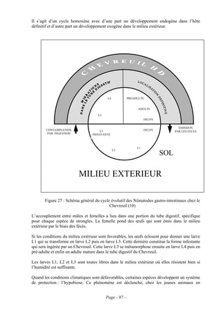 Il s’agit d’un cycle homoxène avec d’une part un développement endogène dans l’hôte
définitif et d’autre part un développement exogène dans le milieu extérieur.




                                           L4           PREADULTE


                                                              ADULTE

                                     L3
                                                                  OEUFS

                                                                                  EMISSION
        CONTAMINATION                 L3                          OEUFS         PAR LES FECES
         PAR INGESTION            INFESTANTE



                                                             L1
                                                L2
                                                                          SOL

                          MILIEU EXTERIEUR

       Figure 27 : Schéma général du cycle évolutif des Nématodes gastro-intestinaux chez le
                                          Chevreuil (10)

L’accouplement entre mâles et femelles a lieu dans une portion du tube digestif, spécifique
pour chaque espèce de strongles. La femelle pond des œufs qui sont émis dans le milieu
extérieur par le biais des fécès.

Si les conditions du milieu extérieur sont favorables, les œufs éclosent pour donner une larve
L1 qui se transforme en larve L2 puis en larve L3. Cette dernière constitue la forme infestante
qui sera ingérée par un Chevreuil. Cette larve L3 se métamorphose ensuite en larve L4 puis en
pré-adulte et enfin en adulte mature dans le tube digestif du Chevreuil.

Les larves L1, L2 et L3 sont toutes libres dans le milieu extérieur où elles résistent bien si
l’humidité est suffisante.

Quand les conditions climatiques sont défavorables, certaines espèces développent un système
de protection : l’hypobiose. Ce phénomène est déclenché, chez les jeunes animaux en


                                          Page - 97 -
 