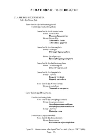 NEMATODES DU TUBE DIGESTIF

CLASSE DES SECERNENTEA
    Ordre des Strongylida

           Super-famille des Trichostrongyloidea
                  Famille des Trichostrongylidés

                            Sous-famille des Haemonchinés
                                   Genre Haemonchus
                                          Haemonchus contortus
                                   Genre Ashworthius
                                          Ashworthius sidemi
                                          Ashworthius gagarini

                            Sous-famille des Ostertagiinés
                                   Genre Ostertagia
                                          Ostertagia leptospicularis

                                   Genre Spiculopteragia
                                          Spiculopteragia Spiculoptera

                            Sous-famille des Trichostrongylinés
                                   Genre Trichostrongylus
                                          Trichostrongylus axei

                            Sous-famille des Coopériinés
                                   Genre Cooperia
                                          Cooperia pectinata
                                          Cooperia oncophora

                            Sous-famille des Nématodirinés
                                   Genre Nematodirus
                                          Nematodirus europaeus

           Super-famille des Strongyloidea

                  Famille des Strongylidés
                         Sous-famille des Oesophagostominés
                                 Genre Oesophagostomum
                                       Oesophagostomum radiatum
                                       Oesophagostomum venulosum
                                 Genre Chabertia
                                       Chabertia ovina

                  Famille des Ancylostomatidés
                         Sous-famille des Bunostominés
                                Genre Bunostomum
                                       Bunostomum trigonocephalum


           Figure 28 : Nématodes du tube digestif du Chevreuil (d’après FERTE (18))
                                    Page - 99 -
 