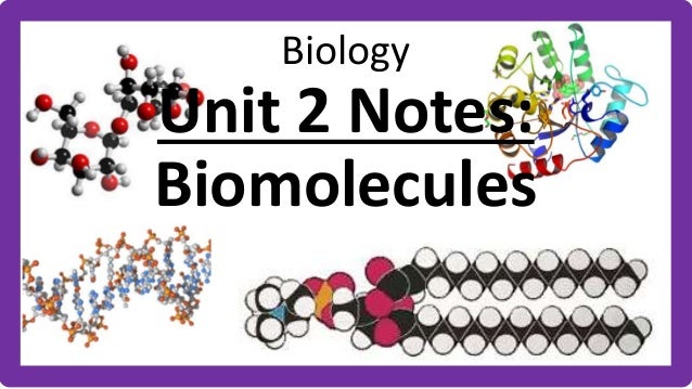 biology unit 2 notes Vbiology home page a site containing lots of revision resources for students studying a-level biology. biology unit 2 notes Vbiology home page a site containing lots of revision resources for students studying a-level biology.