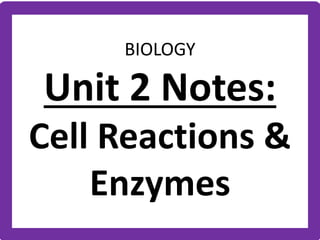 BIOLOGY
Unit 2 Notes:
Cell Reactions &
Enzymes
 