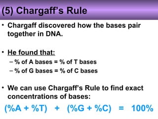 (5) Chargaff’s Rule
• Chargaff discovered how the bases pair
together in DNA.
• He found that:
– % of A bases = % of T bases
– % of G bases = % of C bases
• We can use Chargaff’s Rule to find exact
concentrations of bases:
(%A + %T) + (%G + %C) = 100%
 