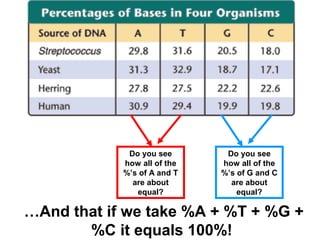 Do you see
how all of the
%’s of A and T
are about
equal?
Do you see
how all of the
%’s of G and C
are about
equal?
…And that if we take %A + %T + %G +
%C it equals 100%!
 