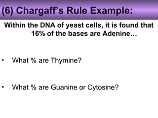 (6) Chargaff’s Rule Example:
Within the DNA of yeast cells, it is found that
16% of the bases are Adenine…
• What % are Thymine?
• What % are Guanine or Cytosine?
 
