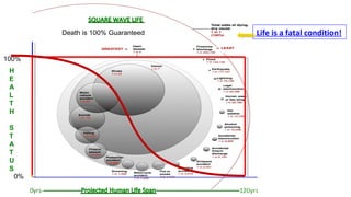 Death is 100% Guaranteed   Life is a fatal condition!

100%
 H
 E
 A
 L
 T
 H

 S
 T
 A
 T
 U
 S
   0%

                                   31
 