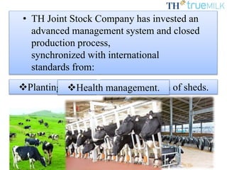 • TH Joint Stock Company has invested an
advanced management system and closed
production process,
synchronized with international
standards from:
Planting grass. Construction of sheds.Health management.
 