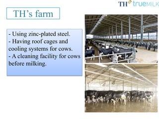 TH’s farm
- Using zinc-plated steel.
- Having roof cages and
cooling systems for cows.
- A cleaning facility for cows
before milking.
 