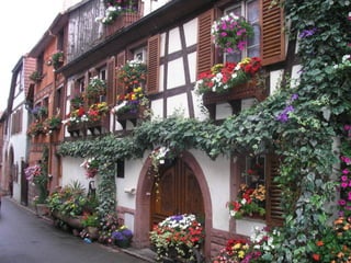 Thu alsace