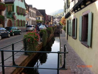 Thu alsace