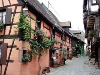 Thu alsace